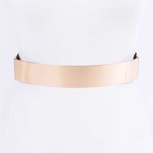 Size Metallic Plaque Elastic Statement Belt